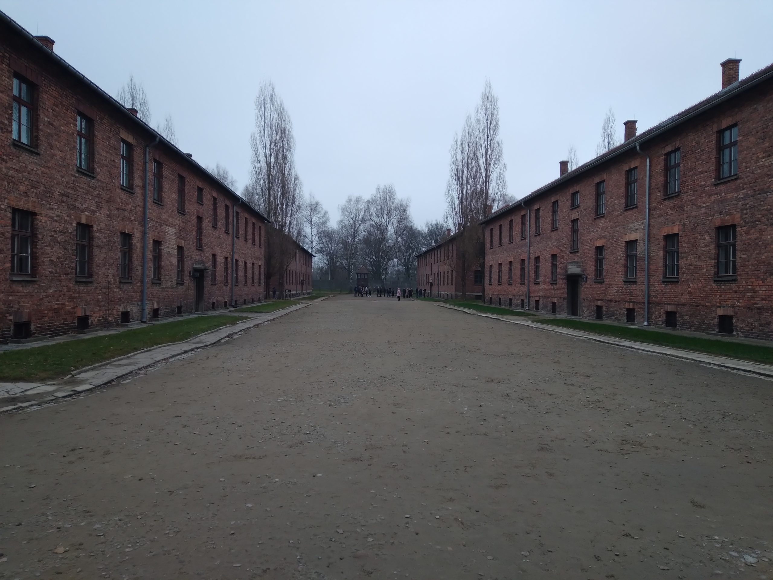 Découverte du camp de concentration d'Auschwitz 