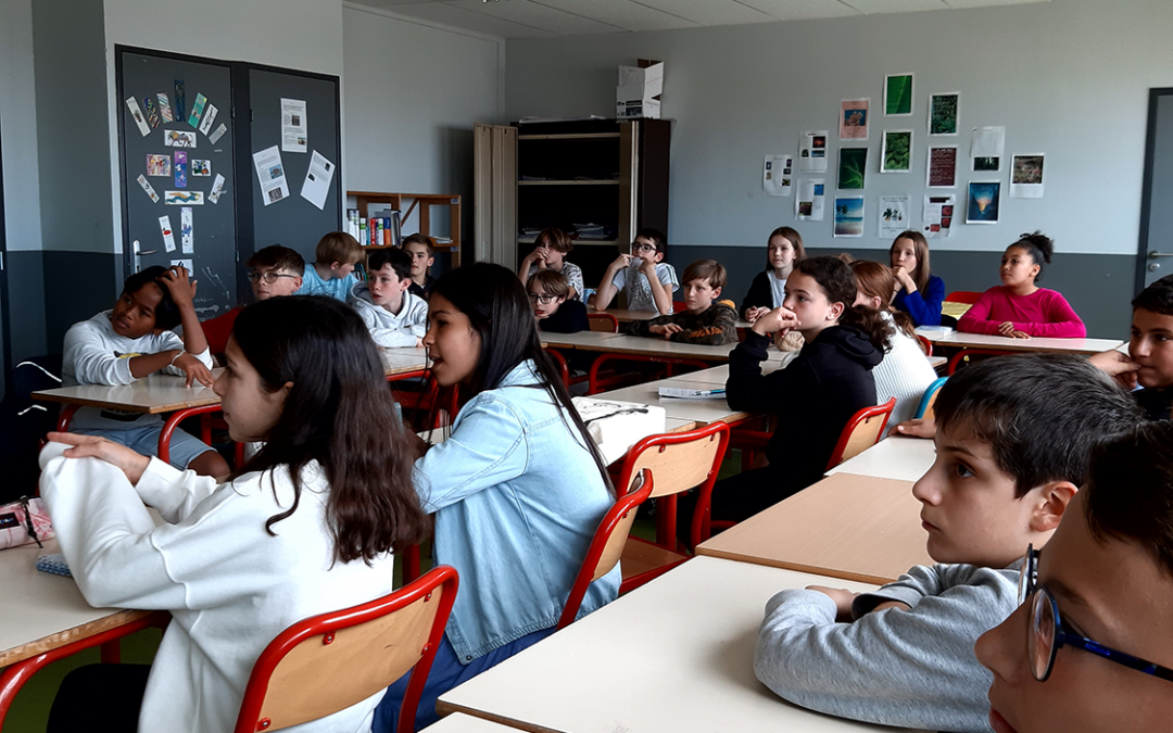 Rencontre avec Anne Schmauch